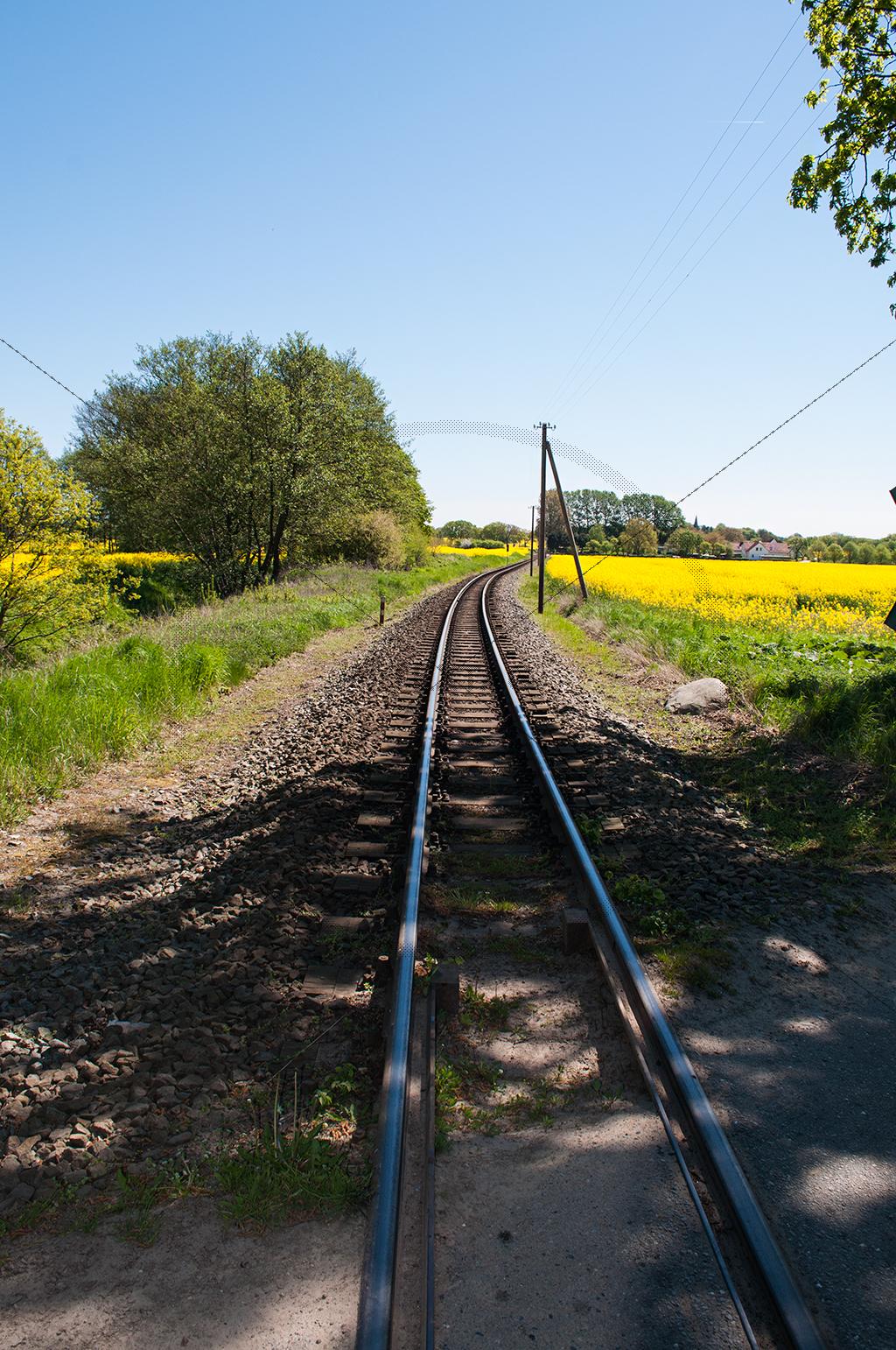 Foto vom Eisenbahnschienen, Rapsfeld nähe Lonvits auf Rügen