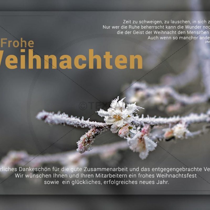 romantische Weihnachts E-Card mit Kirschblüte und Raureif (293)