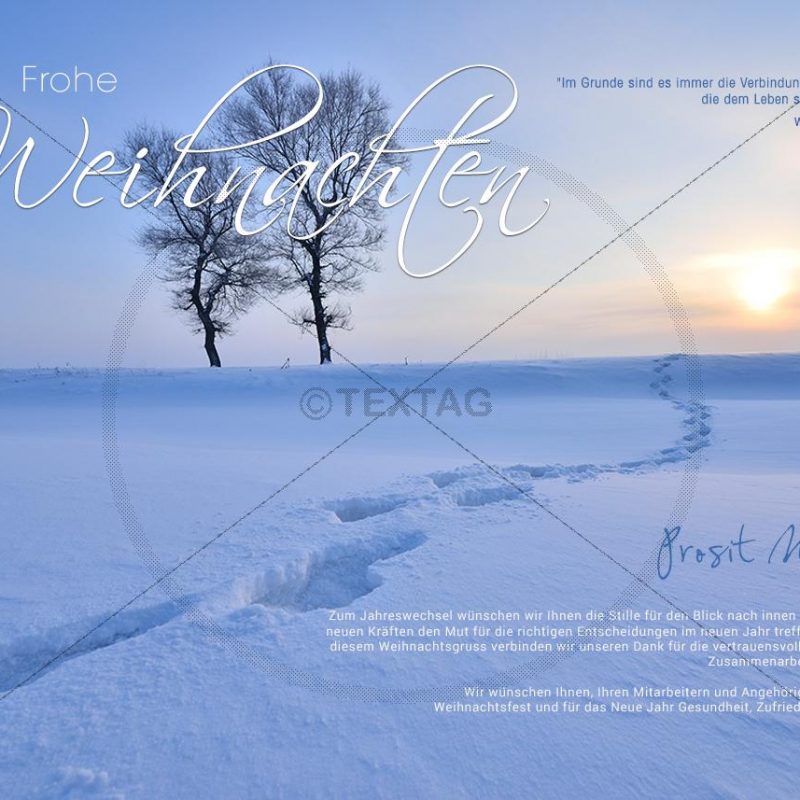geschäftliche Weihnachts E-Card "romantische Winterlandschaft" (315)