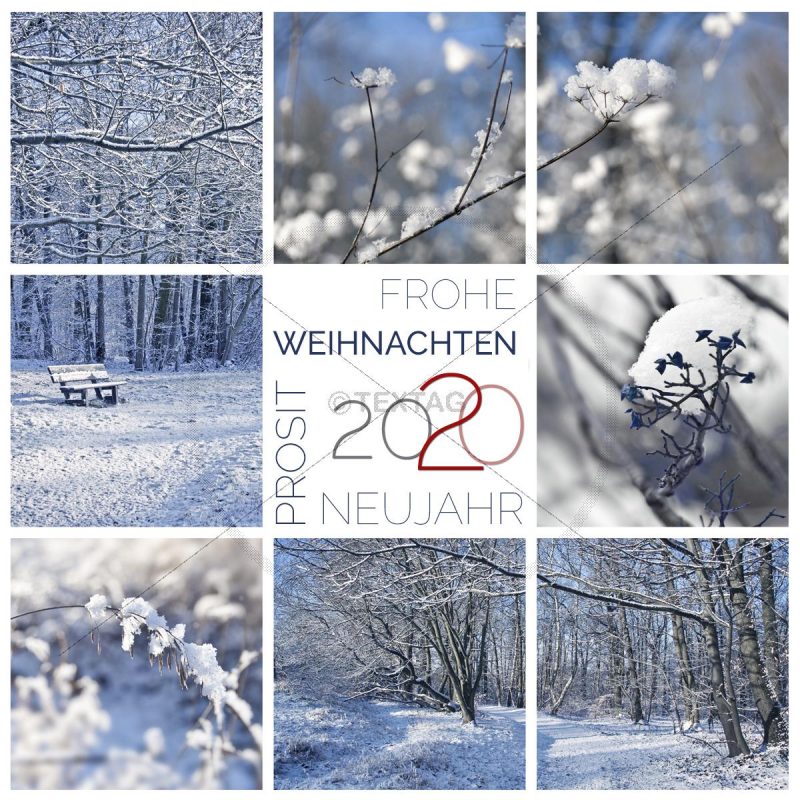 winterliche, digitale Weihnachts E-Card & Neujahrswünsche NSL-2019-00262
