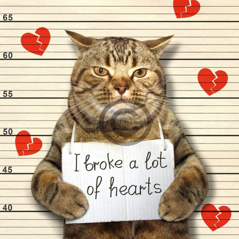 witzige Valentinstag E-Card "Ich habe viele Herzen gebrochen" (00481)